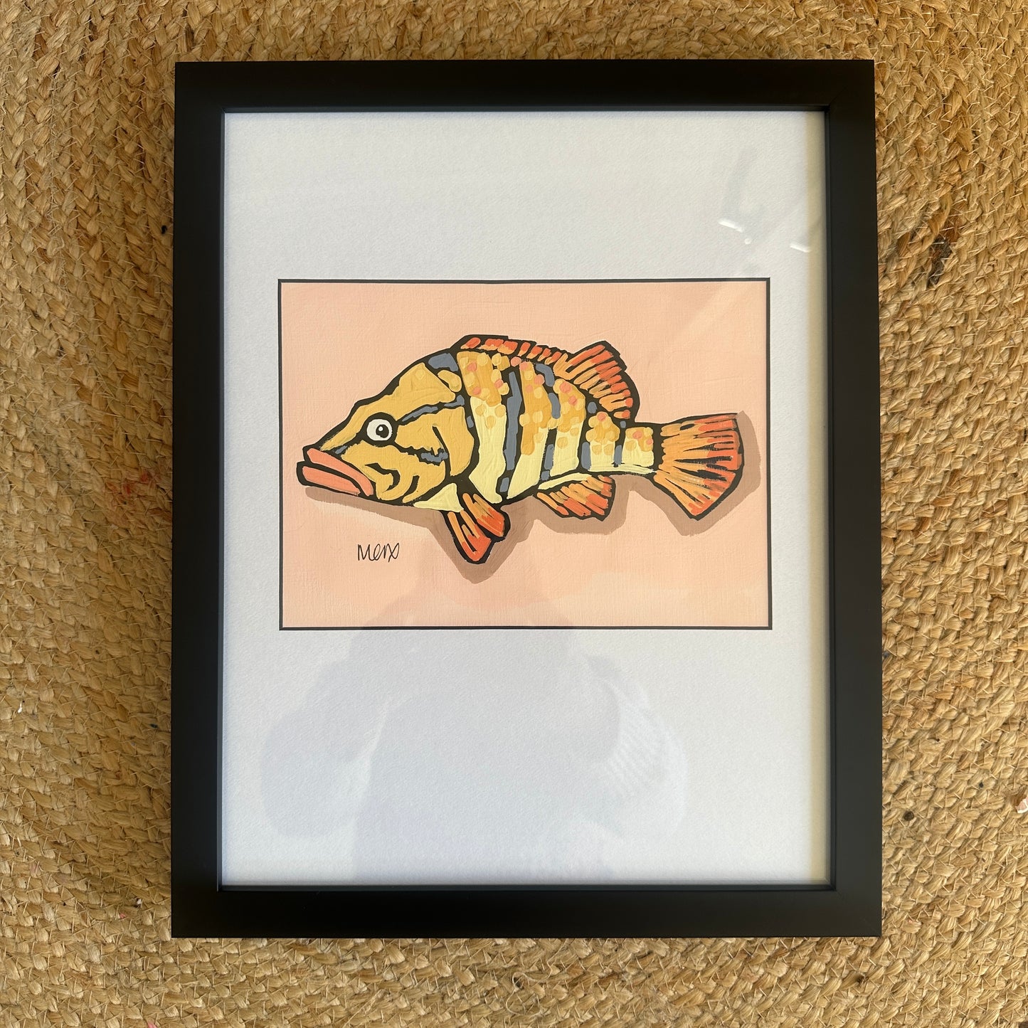 Baby Fish - Pony Fish