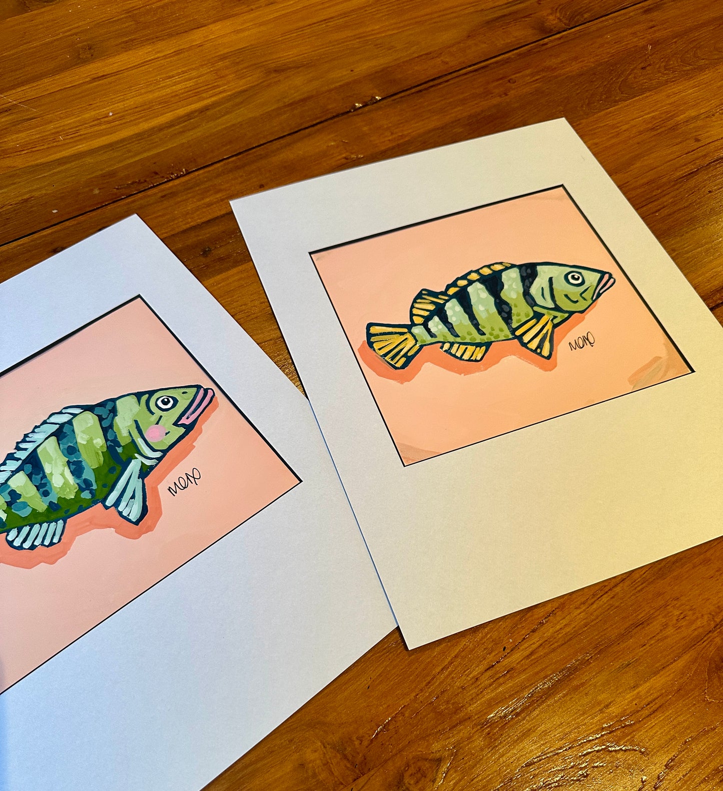 Baby Fish Adoption - Pony Fish
