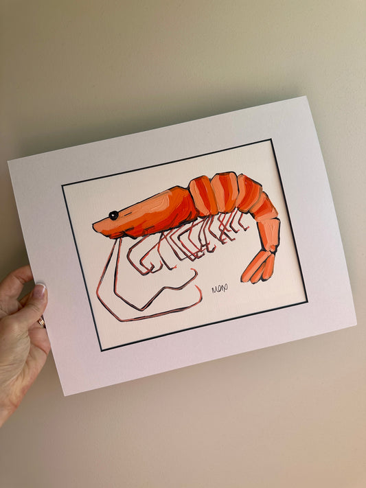 Baby Prawn Adoption - Monti