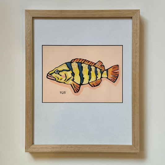 Baby Fish - Leo