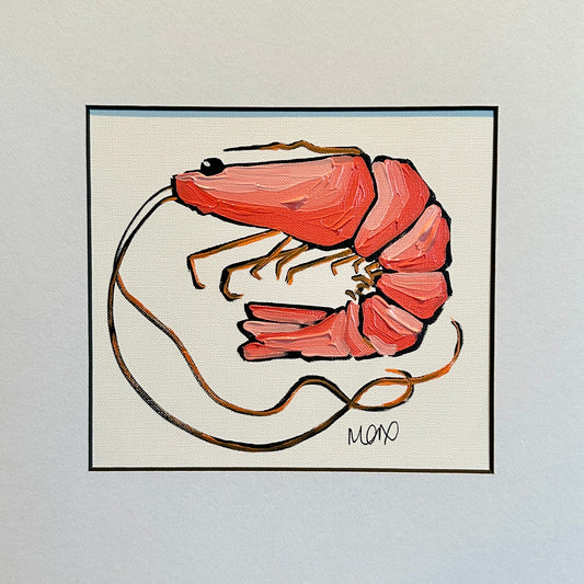 Baby Prawn Adoption - Annie