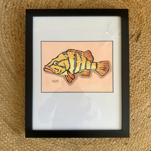 Baby Fish - Pony Fish
