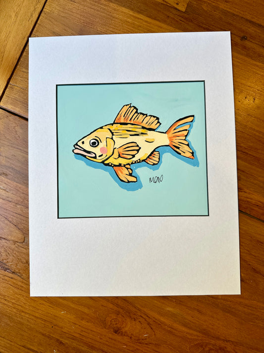 Baby Fish Adoption - Corn Field Fred