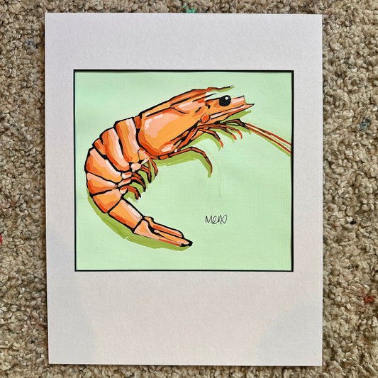 Prawn Adoption - Betty