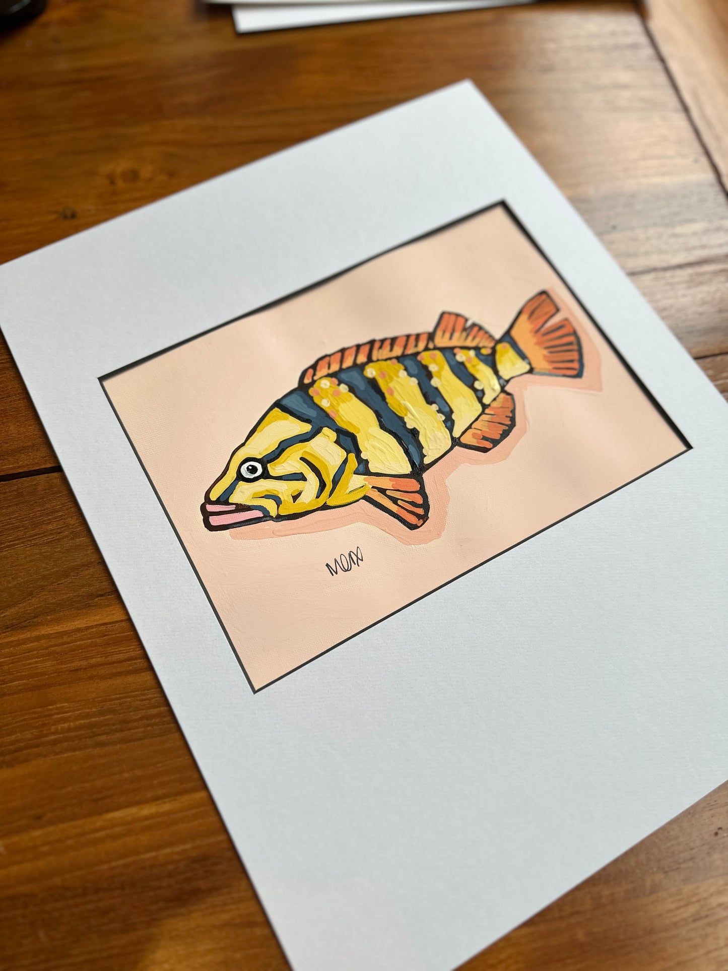 Fish Adoption - Cookie