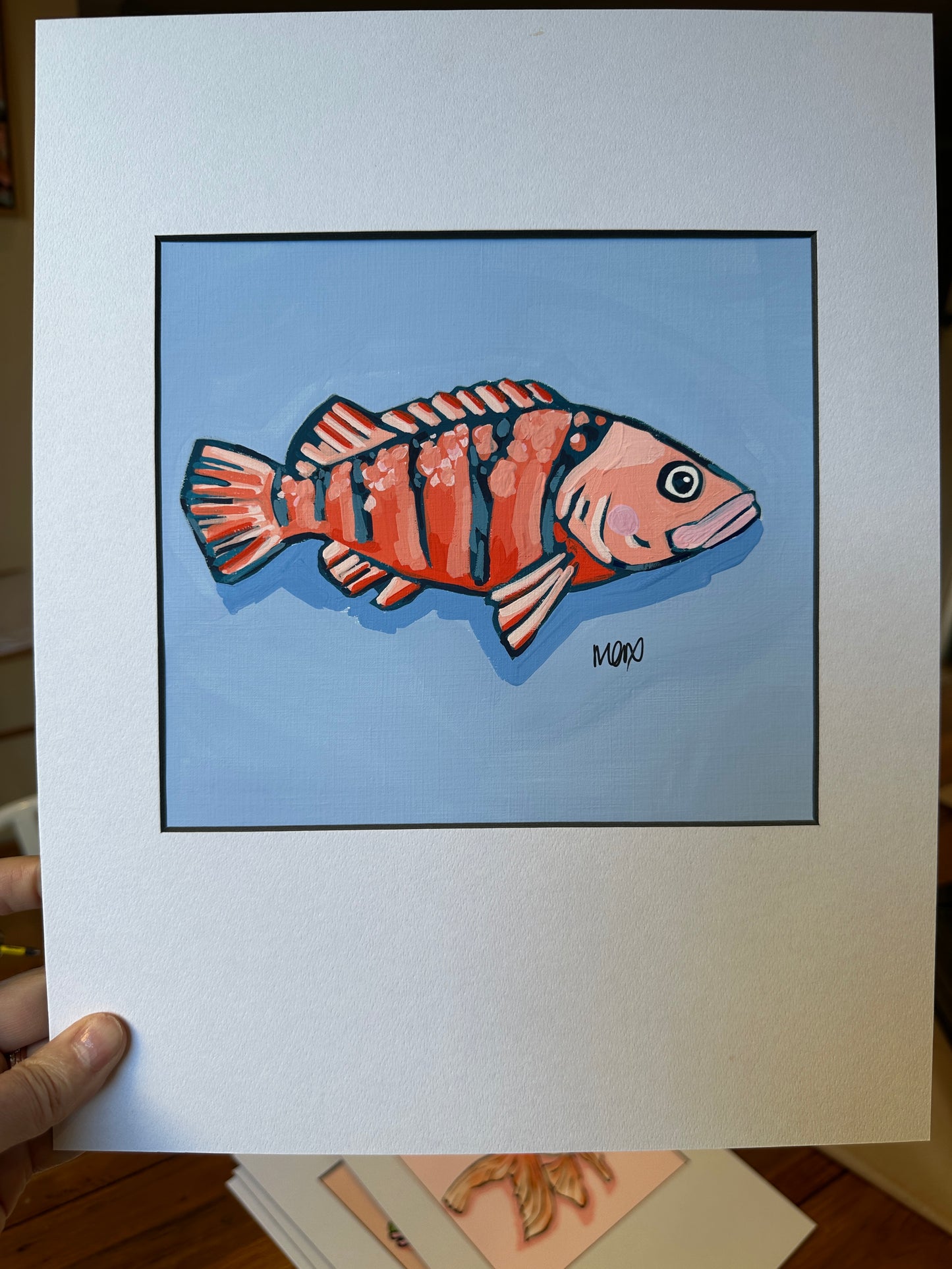 Baby Fish Adoption - Salty Sally