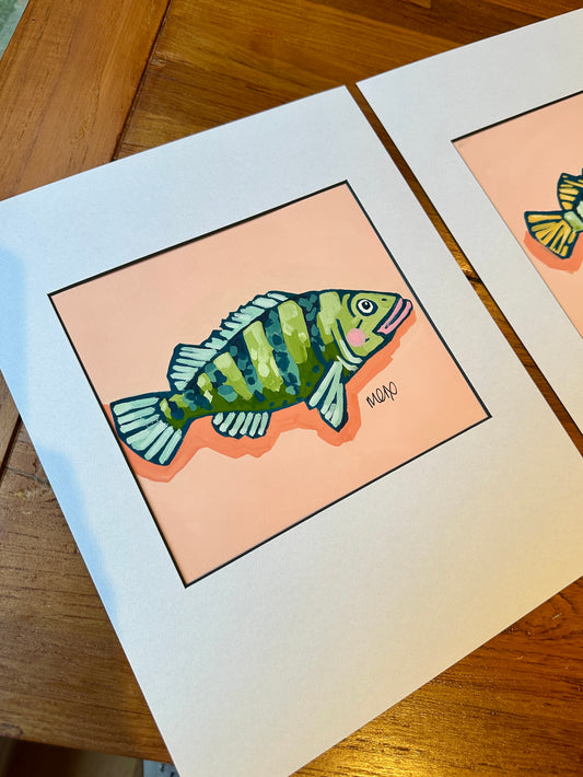 Baby Fish Adoption - Pickle Fish