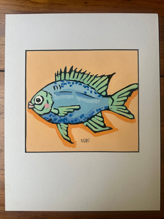 Baby Fish Adoption - Spotted Sergeant