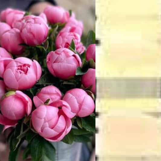 Commission painting for Bora