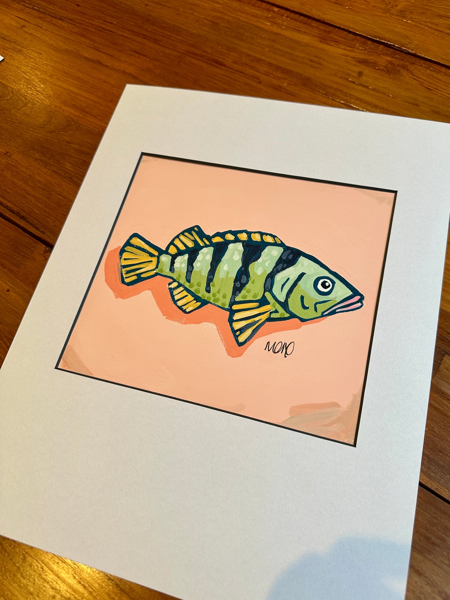 Baby Fish Adoption - Pony Fish