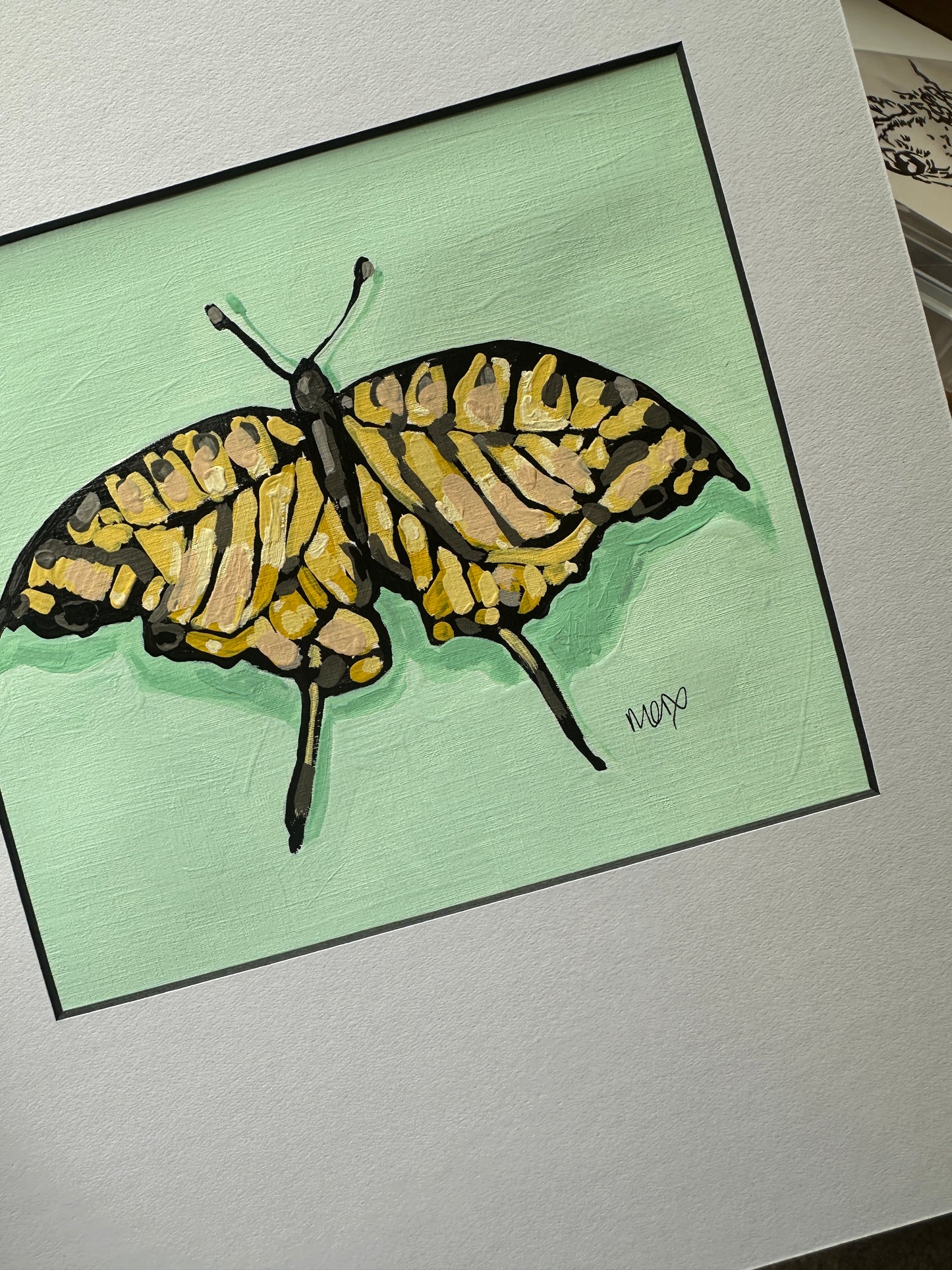Butterfly Adoption - Isadora