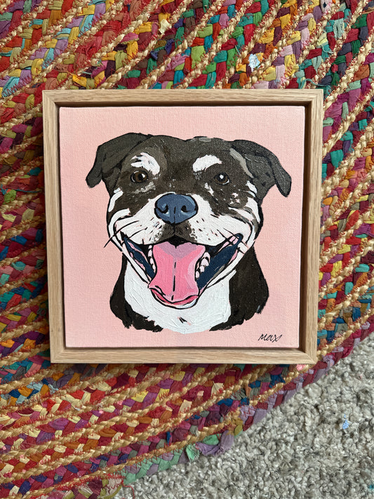 Small Pet Portrait