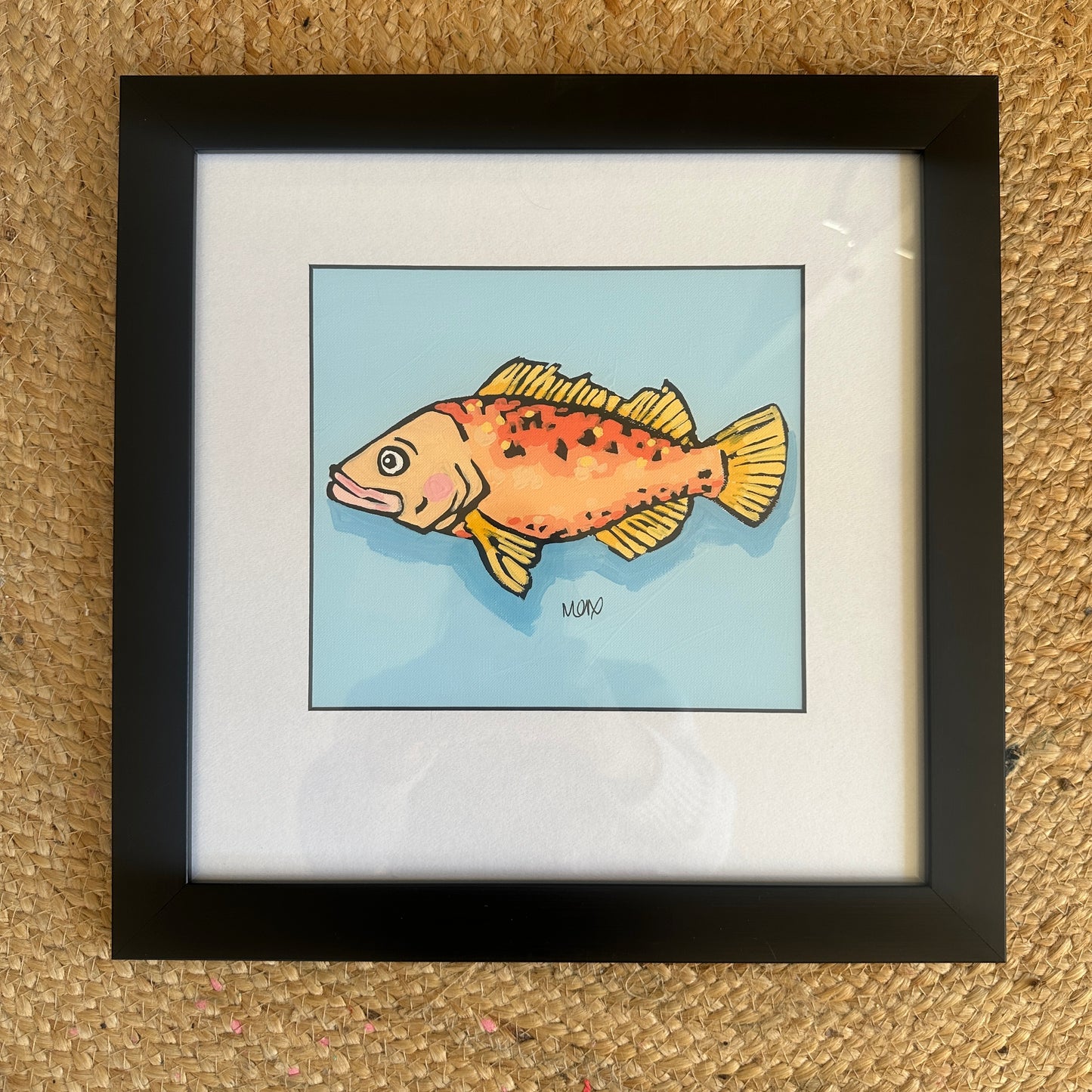 Baby Fish - Freddie