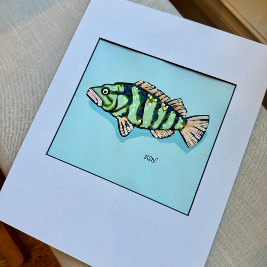Baby Fish Adoption - Alfredo
