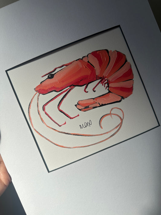 Baby Prawn Adoption - Lucy