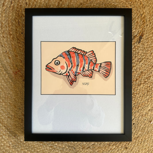 Baby Fish - Poppy
