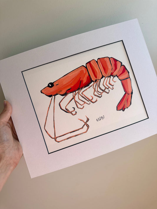 Baby Prawn Adoption - Baz