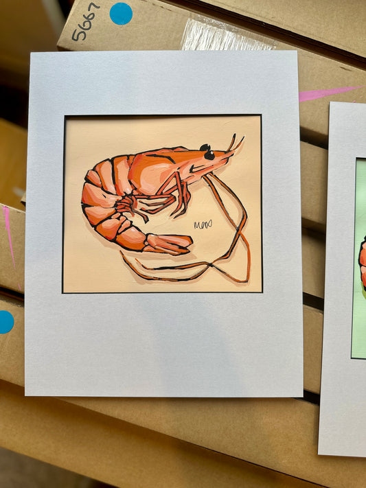 Prawn Adoption - Bobby