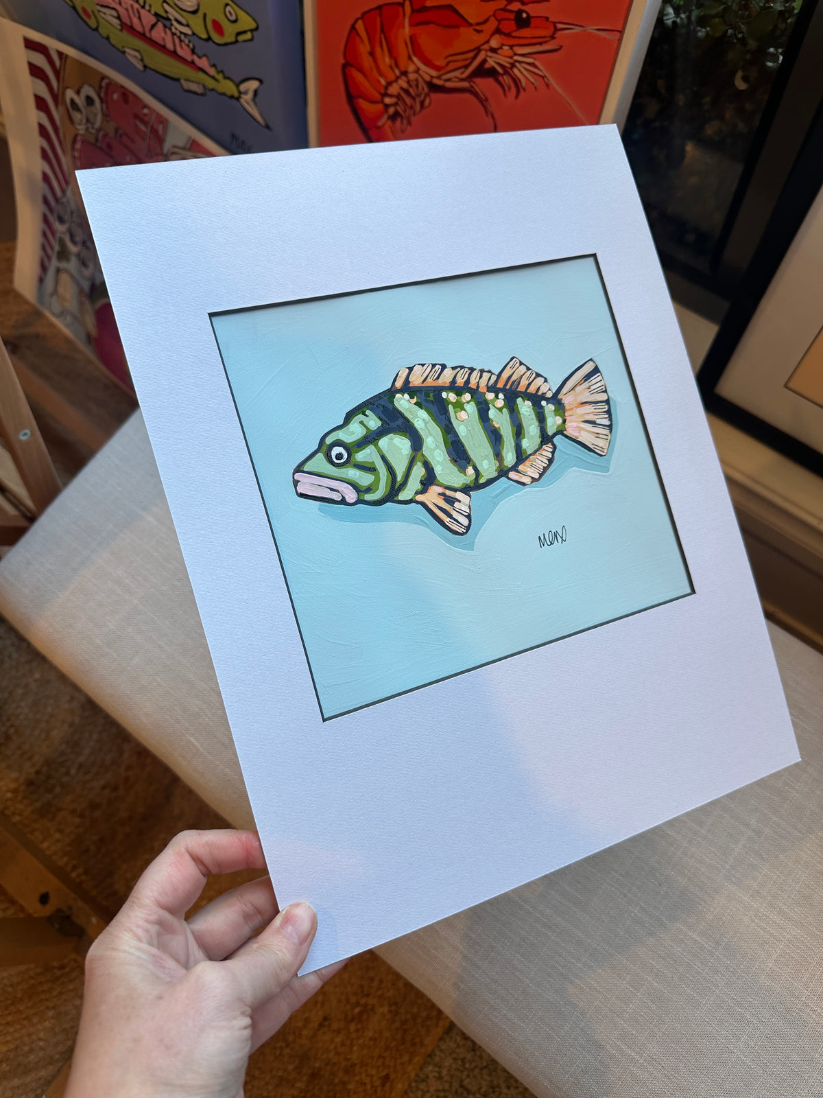 Baby Fish Adoption - Alfredo